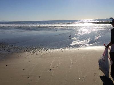 El Segundo Beach Clean Up